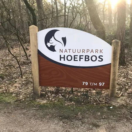 Nyaraló Cosy House *