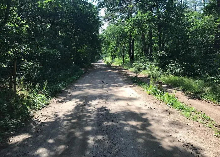 Casa vacanze Cosy House Otterlo