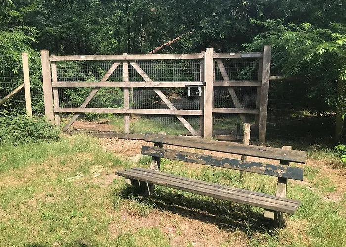 Cosy House * Otterlo