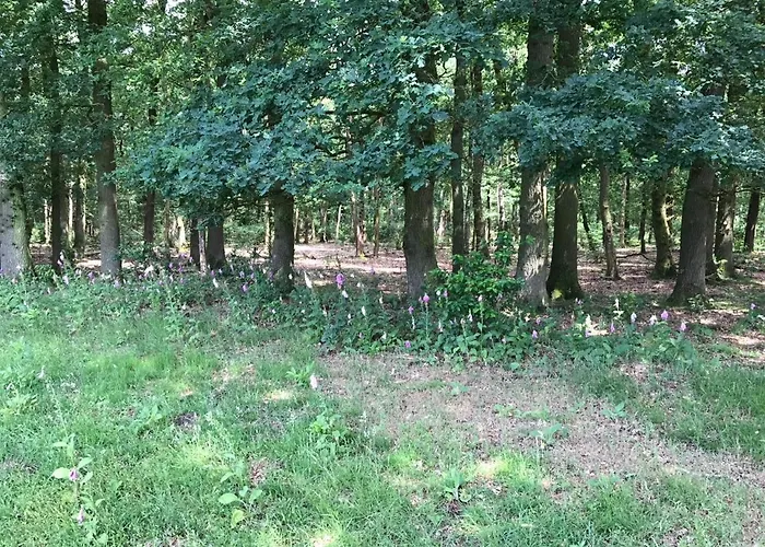 Cosy House Casa vacanze *