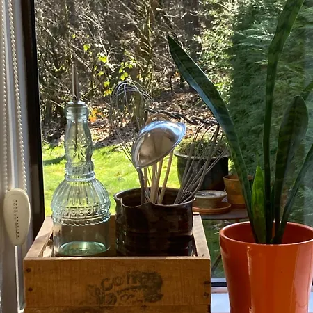 Cosy House Casa de Férias