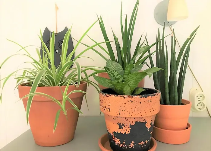 Cosy House * Otterlo