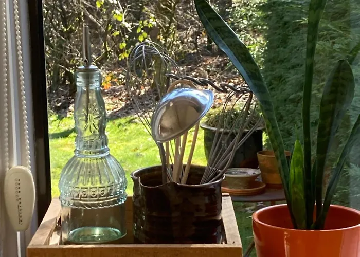 Cosy House Casa de Férias